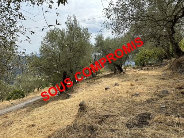 Offres de vente Terrain à batir Utelle 06450