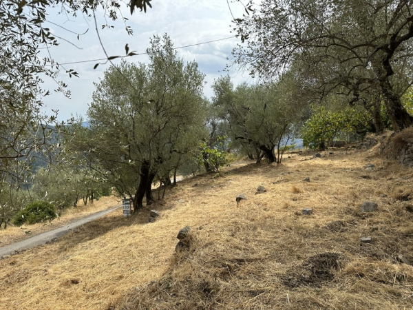 Offres de vente Terrain à batir Utelle 06450