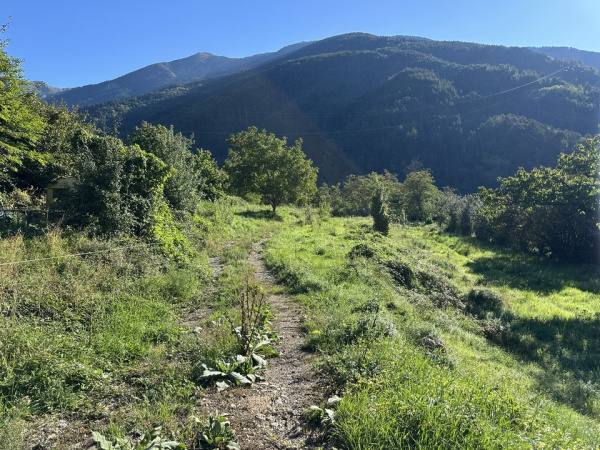 Offres de vente Terrain Roquebillière 06450
