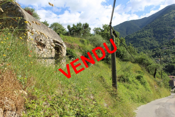 Offres de vente Terrain Roquebillière 06450